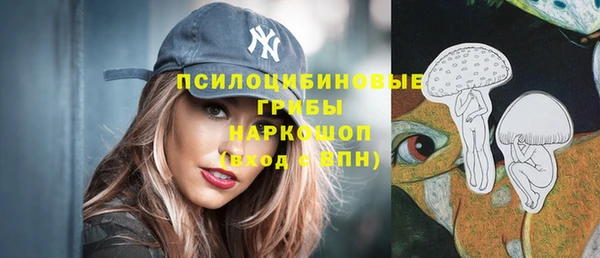 МДПВ Алзамай